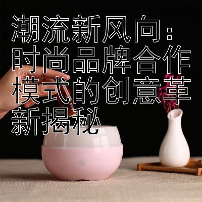 潮流新风向：时尚品牌合作模式的创意革新揭秘